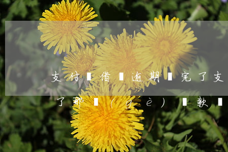 支付寶借唄逾期還完了(支付寶借唄逾期還完了,那個(gè)貸款證明還用開證明嗎)