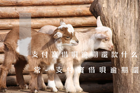 支付寶借唄逾期還款什么時(shí)候正常-支付寶借唄逾期還款什么時(shí)候正常使用