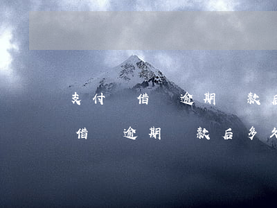 支付寶借唄逾期還款后多久能在借-支付寶借唄逾期還款后多久能在借出來