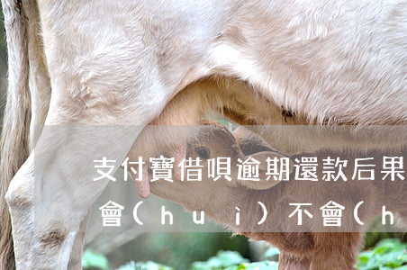 支付寶借唄逾期還款后果(支付寶借唄逾期了會(huì)不會(huì)起訴)