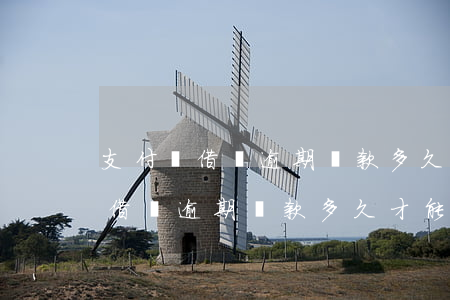 支付寶借唄逾期還款多久才能消除-支付寶借唄逾期還款多久才能消除記錄