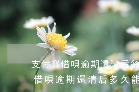 支付寶借唄逾期還清后多久能再用-支付寶借唄逾期還清后多久能再用啊