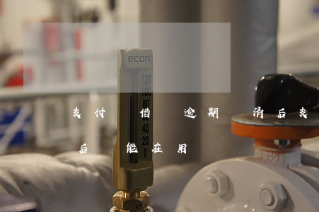 支付寶借唄逾期還清后 支付寶借唄逾期還清后還能在用嗎