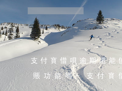 支付寶借唄逾期還能使用轉(zhuǎn)賬功能嗎-支付寶借唄逾期還能使用轉(zhuǎn)賬功能嗎安全嗎