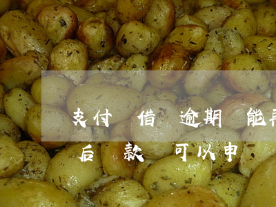 支付寶借唄逾期還能再貸嗎 支付寶借唄逾期后還款還可以申請貸款嗎