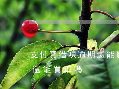 支付寶借唄逾期還能買車嗎 支付寶借唄逾期還能買車嗎