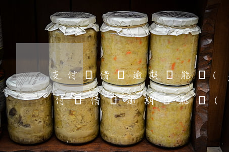 支付寶借唄逾期還能購(gòu)物嗎-支付寶借唄逾期還能購(gòu)物嗎怎么還款