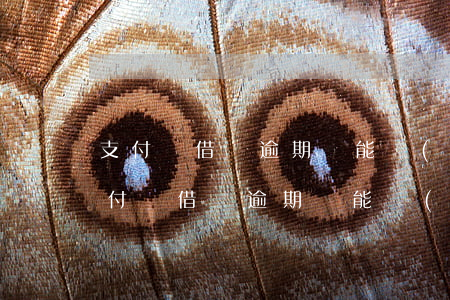 支付寶借唄逾期還能開(kāi)通嗎-支付寶借唄逾期還能開(kāi)通嗎安全嗎