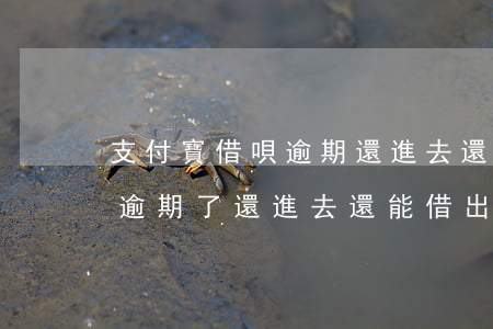支付寶借唄逾期還進去還能借嗎(支付寶借唄逾期了還進去還能借出來嗎)