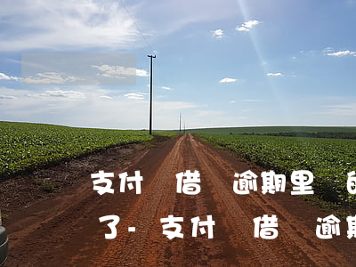 支付寶借唄逾期里邊的錢被凍結(jié)了-支付寶借唄逾期里邊的錢被凍結(jié)了怎么辦