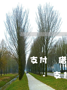 支付寶借唄逾期里面可以放錢(qián)嗎-支付寶借唄逾期幾分鐘還款有沒(méi)有影響