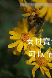 支付寶借唄逾期錢都還了(支付寶借唄逾期還可以借錢嗎)