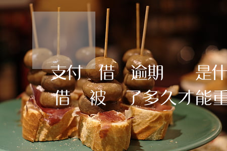 支付寶借唄逾期關閉是什么樣(支付寶逾期過,借唄被關了,多久才能重新開通?)