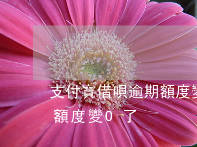支付寶借唄逾期額度變0-支付寶借唄逾期額度變0了