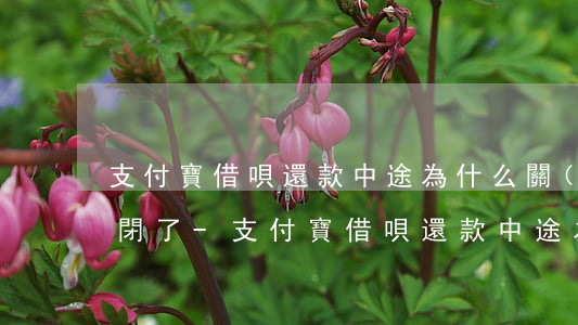 支付寶借唄還款中途為什么關(guān)閉了-支付寶借唄還款中途為什么關(guān)閉了呢