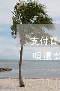 支付寶借唄還款了會影響征信嗎-支付寶借唄還款了會影響征信嗎知乎