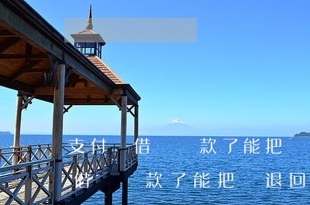 支付寶借唄還款了能把錢退回來嗎-支付寶借唄還款了能把錢退回來嗎安全嗎