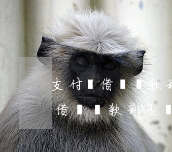 支付寶借唄還款利息為什么不一樣-支付寶借唄還款利息為什么不一樣呢