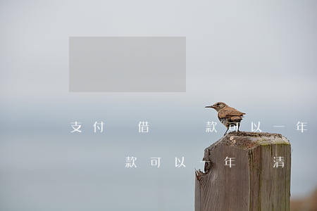 支付寶借唄還款可以一年還清嗎-支付寶借唄還款可以一年還清嗎安全嗎