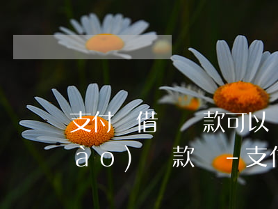 支付寶借唄還款可以協(xié)調(diào)還款嗎-支付寶借唄還款可以協(xié)調(diào)還款嗎安全嗎