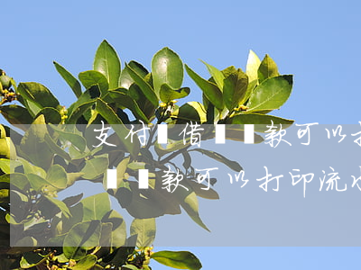 支付寶借唄還款可以打印流水嗎-支付寶借唄還款可以打印流水嗎安全嗎
