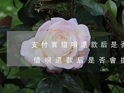 支付寶借唄還款后是否會提高額度-支付寶借唄還款后是否會提高額度了