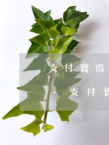 支付寶借唄還款后沒(méi)有信用額度-支付寶借唄還款后沒(méi)有信用額度了