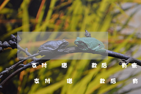 支付寶借唄還款后沒有恢復(fù)額度-支付寶借唄還款后沒有恢復(fù)額度怎么辦