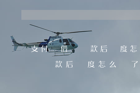 支付寶借唄還款后額度怎么變了-支付寶借唄還款后額度怎么變了呢