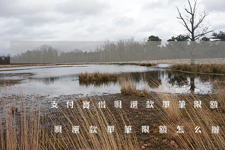 支付寶借唄還款單筆限額怎么辦-支付寶借唄還款單筆限額怎么辦啊