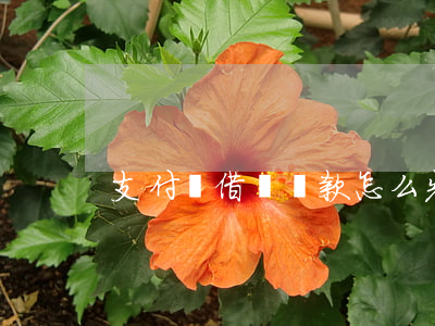 支付寶借唄還款怎么先還利息呢-