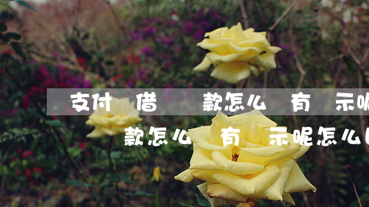 支付寶借唄還款怎么沒有顯示呢-支付寶借唄還款怎么沒有顯示呢怎么回事