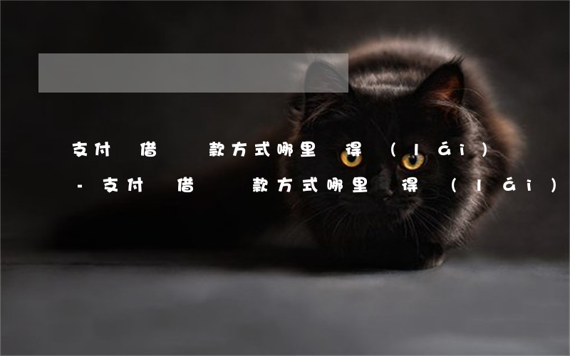 支付寶借唄還款方式哪里劃得來(lái)-支付寶借唄還款方式哪里劃得來(lái)還款