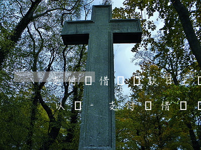 支付寶借唄還款日主動(dòng)還款可以嗎-支付寶借唄還款日主動(dòng)還款可以嗎安全嗎