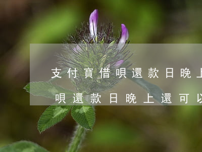 支付寶借唄還款日晚上還可以嗎-支付寶借唄還款日晚上還可以嗎