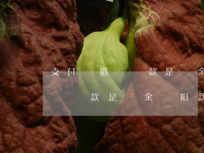 支付寶借唄還款是從余額扣款嗎-支付寶借唄還款是從余額扣款嗎安全嗎