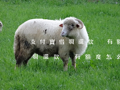 支付寶借唄還款沒有額度怎么辦-支付寶借唄還款沒有額度怎么辦啊