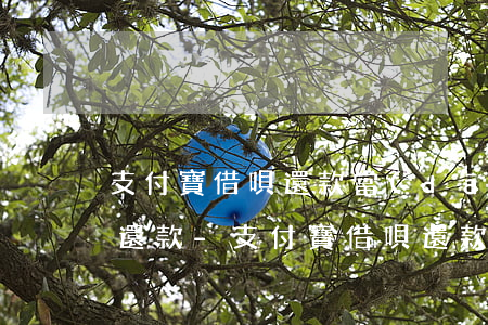 支付寶借唄還款當(dāng)天還叫提前還款-支付寶借唄還款當(dāng)天還叫提前還款嗎