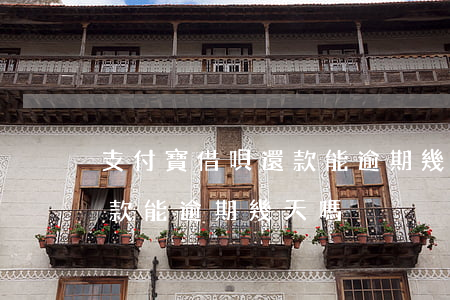 支付寶借唄還款能逾期幾天-支付寶借唄還款能逾期幾天嗎