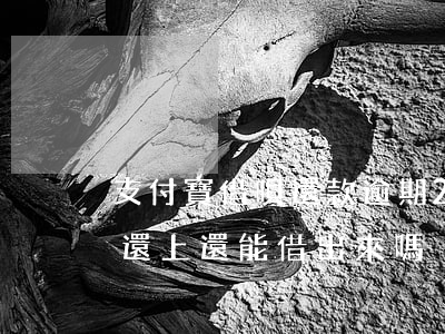 支付寶借唄還款逾期2天(螞蟻借唄逾期兩天還上還能借出來嗎?)