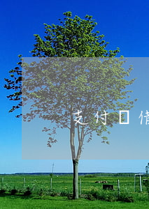 支付寶借唄還款金額過大什么意思