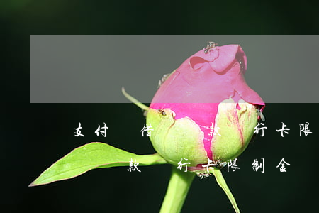 支付寶借唄還款銀行卡限制金額-支付寶借唄還款銀行卡限制金額怎么辦