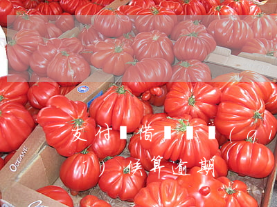 支付寶借唄還錢(qián)什么時(shí)候算逾期