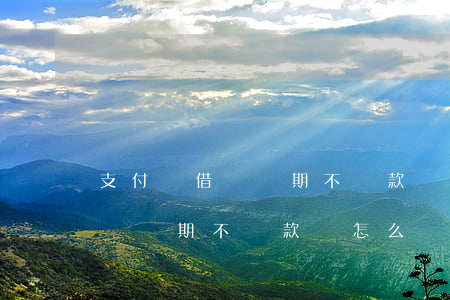 支付寶借唄長期不還款會怎么樣-支付寶借唄長期不還款會怎么樣嗎