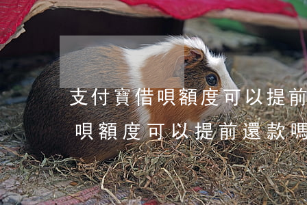 支付寶借唄額度可以提前還款嗎-支付寶借唄額度可以提前還款嗎安全嗎