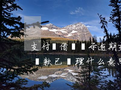 支付寶借唄顯示逾期(支付寶借唄顯示逾期未還款已處理什么意思)