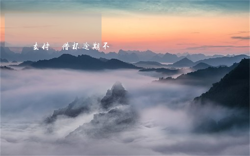 支付寶借杯逾期不還