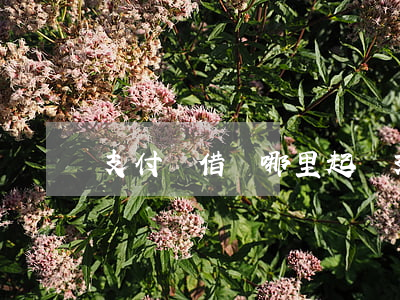 支付寶借條哪里起訴(支付寶借錢起訴流程)