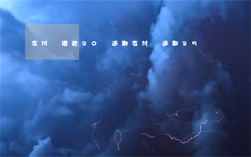 支付寶借款20萬逾期(支付寶逾期25萬)