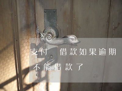 支付寶借款如果逾期沒還(支付寶逾期其他都不能借款了)